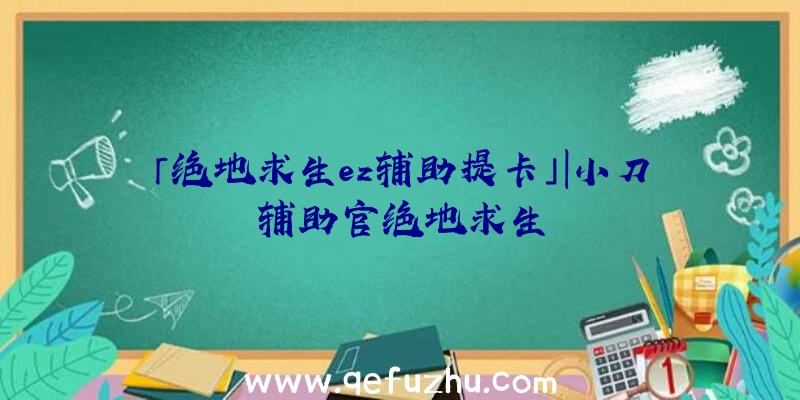 「绝地求生ez辅助提卡」|小刀辅助官绝地求生